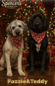 Xmas dogs